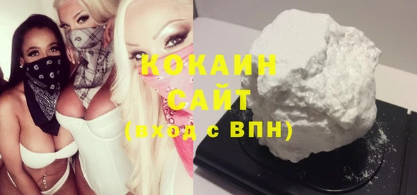 крисы Алзамай