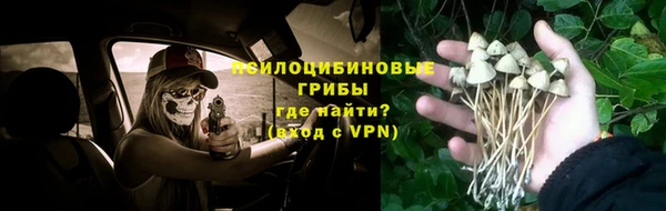 дмт Алексеевка