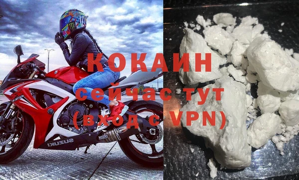 крисы Алзамай