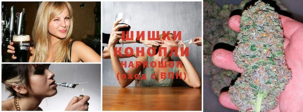 дмт Алексеевка