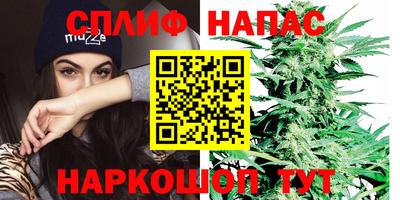 MDMA Гатчина