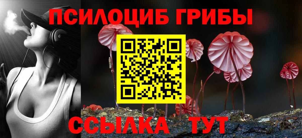 Галлюциногенные грибы мухоморы Лесосибирск
