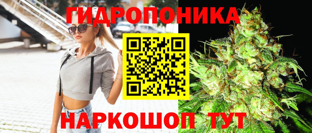 Бошки марихуана семена Лесосибирск